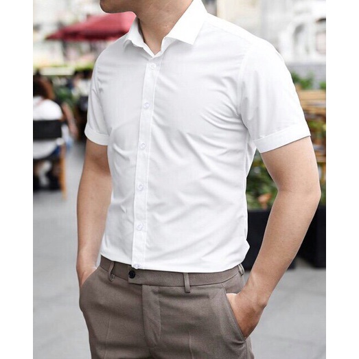 SƠ MI NAM CỘC TAY - SANG TRỌNG - LỊCH LÃM