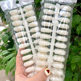 Móng giả gắn sổ Mẫu ( 120 móng/bich)