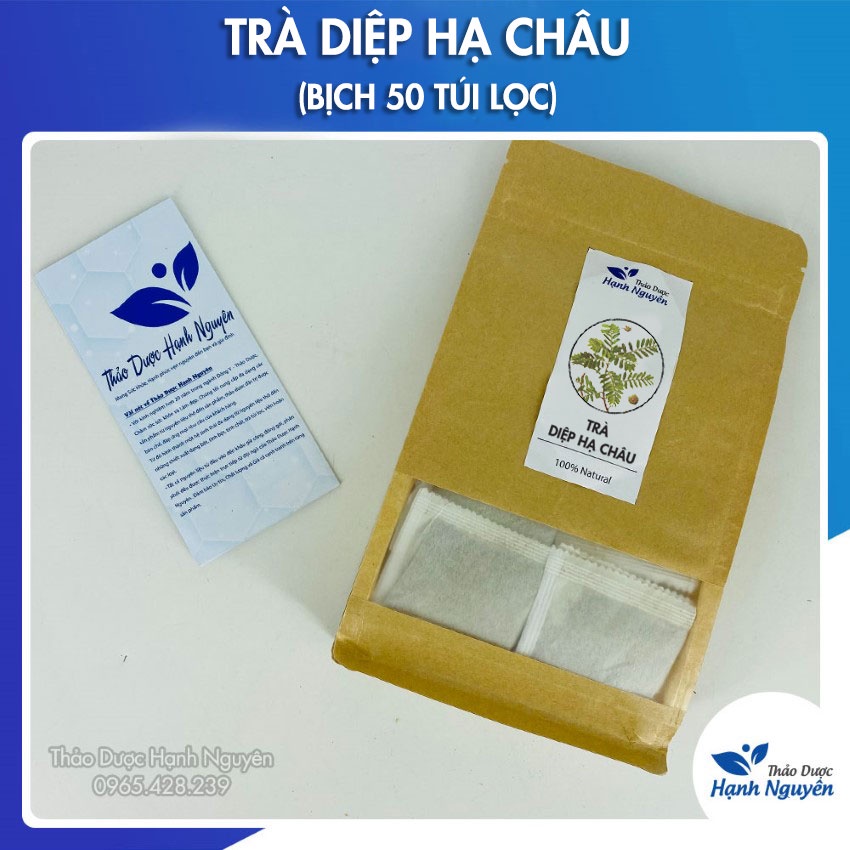 Trà diệp hạ châu túi lọc (bịch 50 túi lọc) thanh lọc cơ thể, giảm mỡ hiệu quả - Thảo dược Hạnh Nguyên