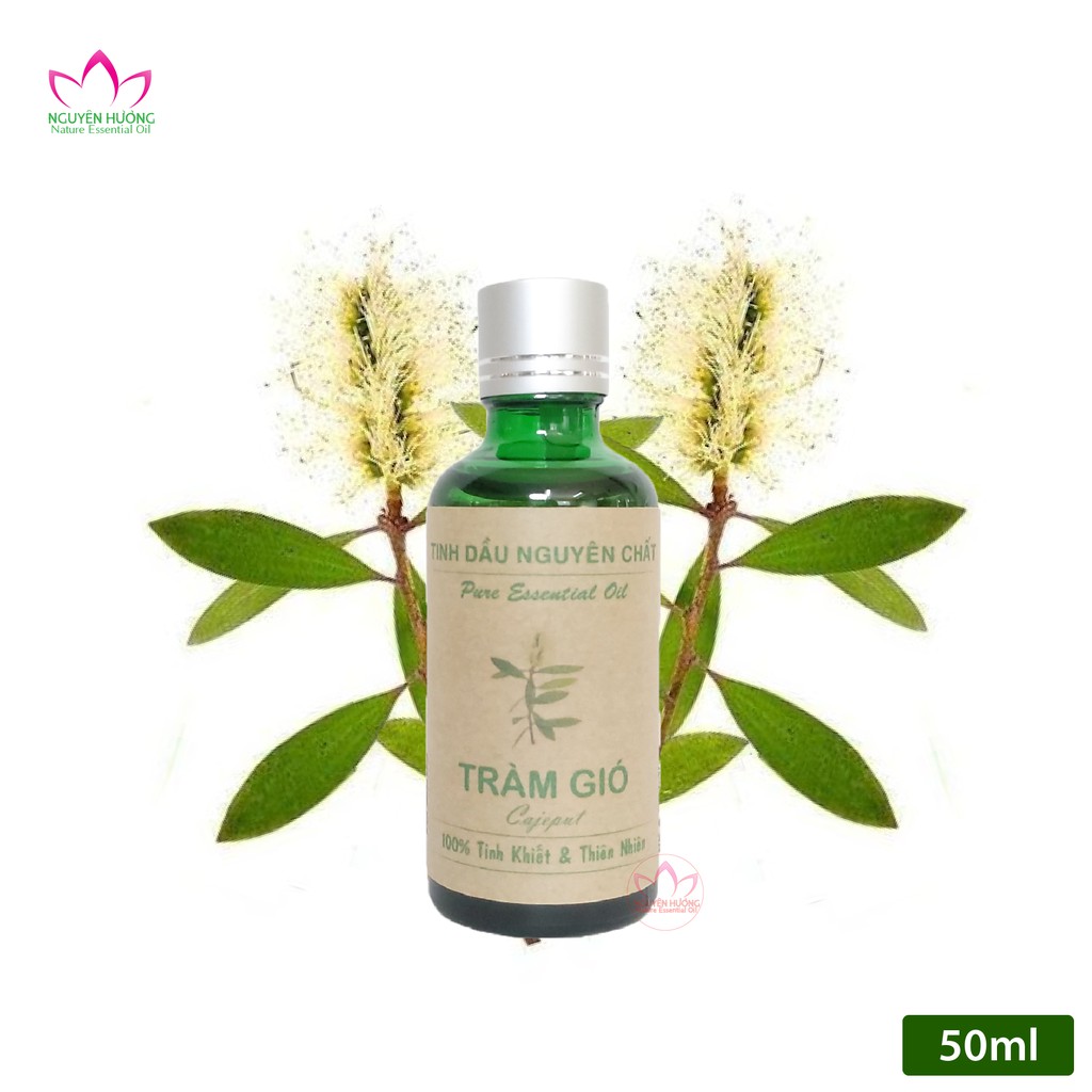 Tinh Dầu Tràm Gió (Cajeput) – 100% nguyên chất ( Treo xe, Xông thơm phòng.. ) | Thế Giới Skin Care