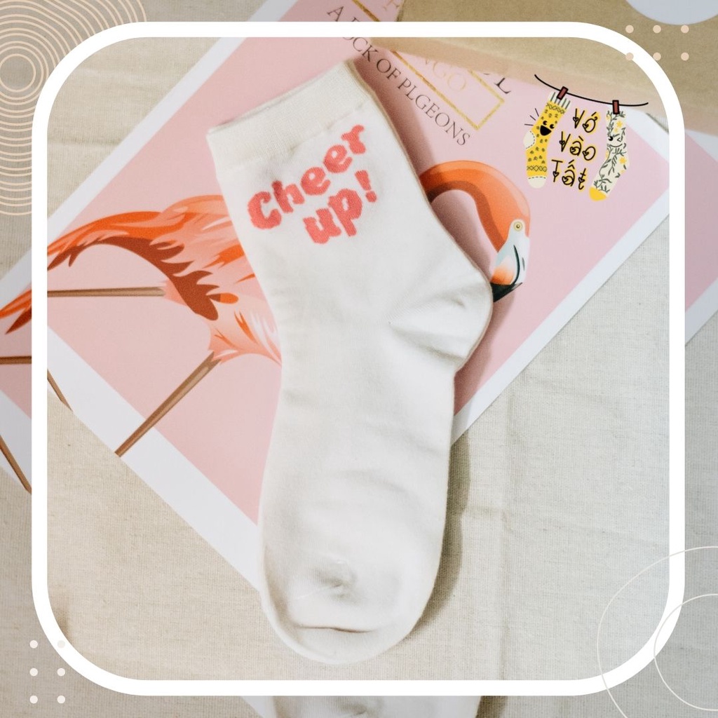 TẤT VỚ NỮ CỔ CAO CHỮ CÁ TÍNH