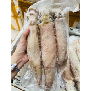 [ PHÚ NHUẬN] MỰC ỐNG 1 KG