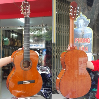 Đàn guitar classic Dallas DL-Q39CE chính hãng - Tặng full phụ kiện