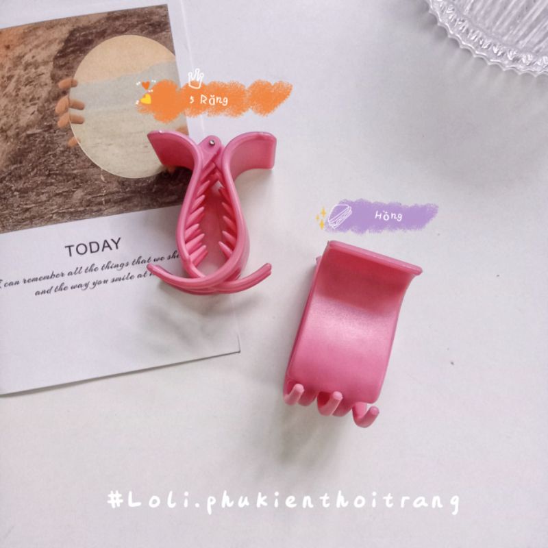Vỉ 12 kẹp càng cua 5 răng nhám mix màu pastel - Loli.phukienthoitrang