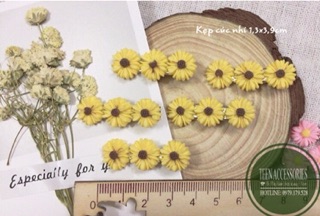 Kẹp tóc hoa cúc nhí 1,3x3,9cm (Cỡ bé)