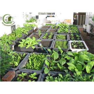 Khay chậu nhựa trồng rau thông minh 2 đáy màu đen 67x43x15cm