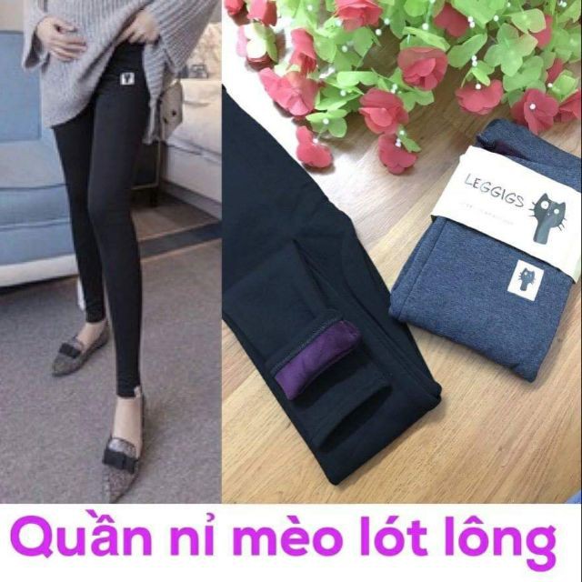 QUẦN LEGGING MÈO