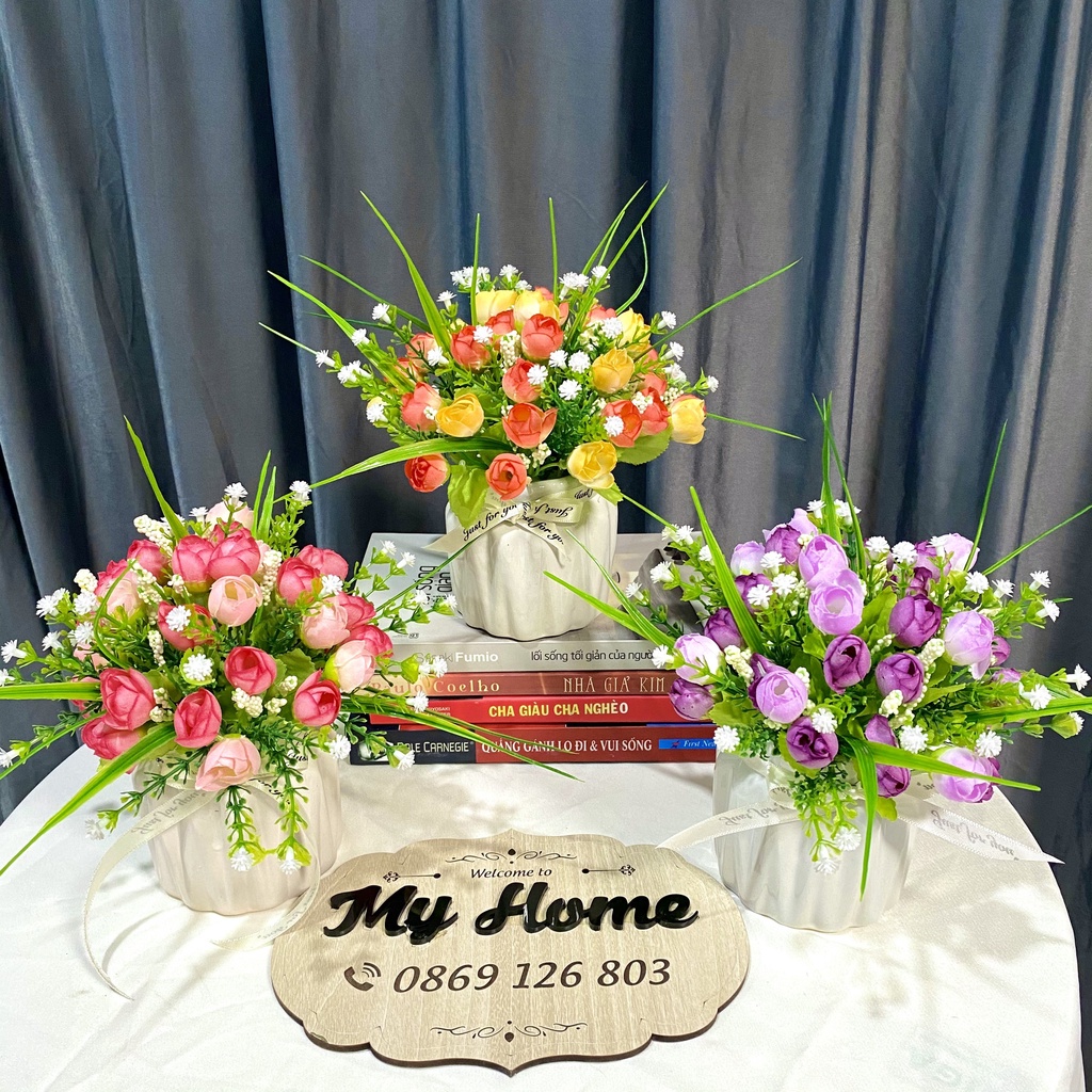 Chậu hoa hồng trà bi mix baby 20*25cm, trang trí decor nhà đẹp, để bàn.