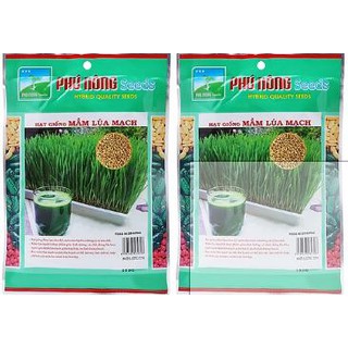 Hạt Giống Mầm Lúa Mạch Phú Nông (100g / Gói)