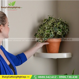 Kệ góc nhà tắm treo tường Hút chân không