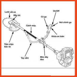 MÁY CẮT CỎ HONDA GX35