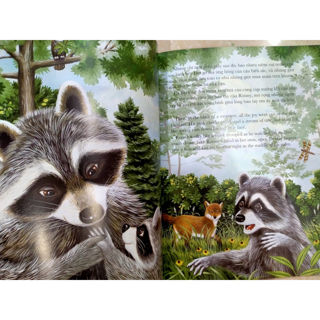 Sách -Chiếc túi đầy ắp những nụ hôn