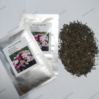 Hạt Giống Hoa Sao Nhái Mix Màu, tỷ lệ nảy mầm cao