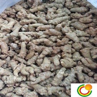Tam thất bắc loại 8 củ 200g