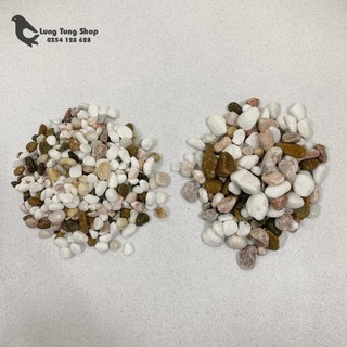 Đá sỏi hỗn hợp ( chọn size )