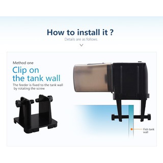 Máy cho cá ăn tự động chỉnh giờ