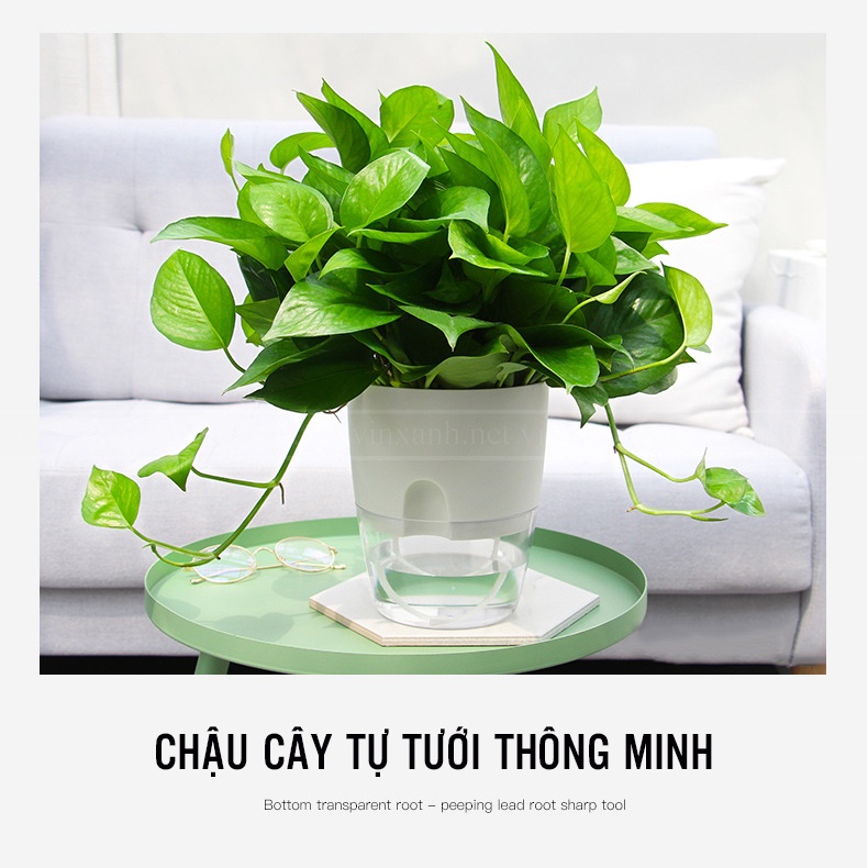 Chậu cây thông minh tự tưới nước/chậu nhựa 2 lớp cao cấp đường kính 15cm/ trồng cây xanh để bàn văn phòng hiện đại
