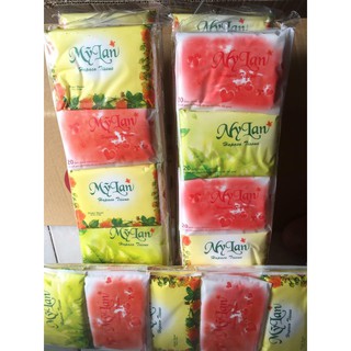 Khăn Giấy Mỹ Lan Dạng Ví Đôi (10 bịch nhỏ)