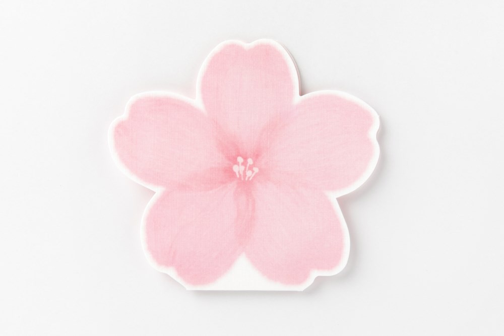 Thiệp ARTBOX Hàn Quốc Hình Hoa Anh Đào Xinh Xắn