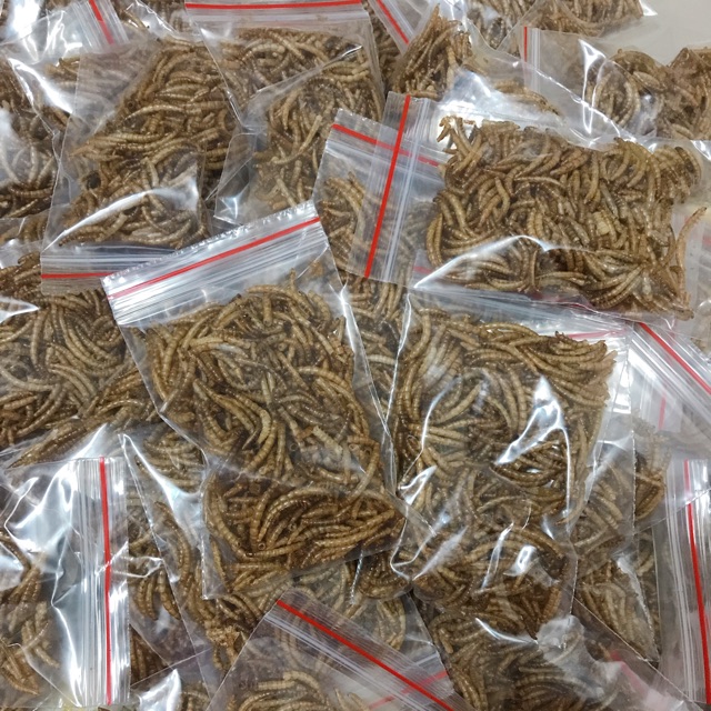 Sâu rồng rang Hamster túi lớn 20gr