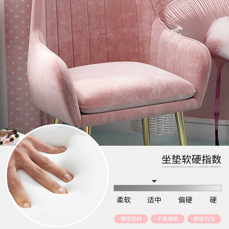 Bắc Âu đơn giản nhẹ nhàng ghế ăn sang trọng nhà hàng tựa lưng trang điểm lưới màu đỏ trong bàn salon < | BigBuy360 - bigbuy360.vn