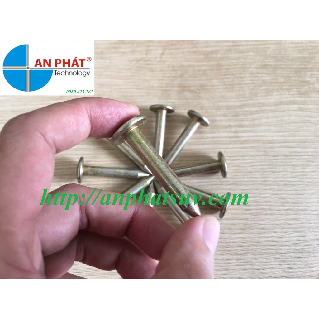 Đinh mốc trắc địa 3 Cm (10 cái)