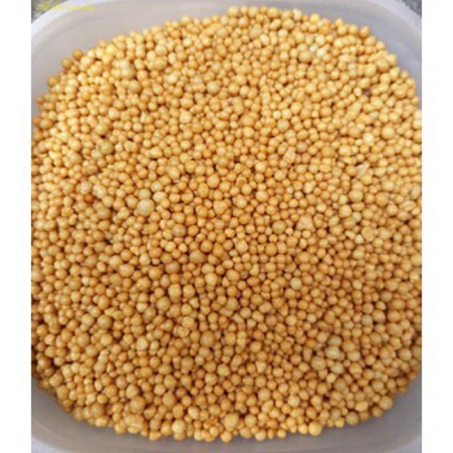 100g Phân bón vàng Tan chậm Thái Lan