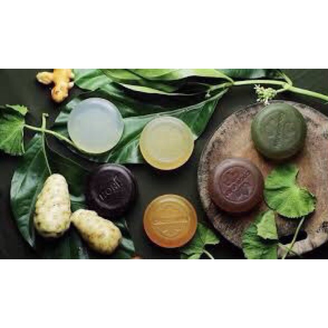 Combo 50 bánh xp cocosavon