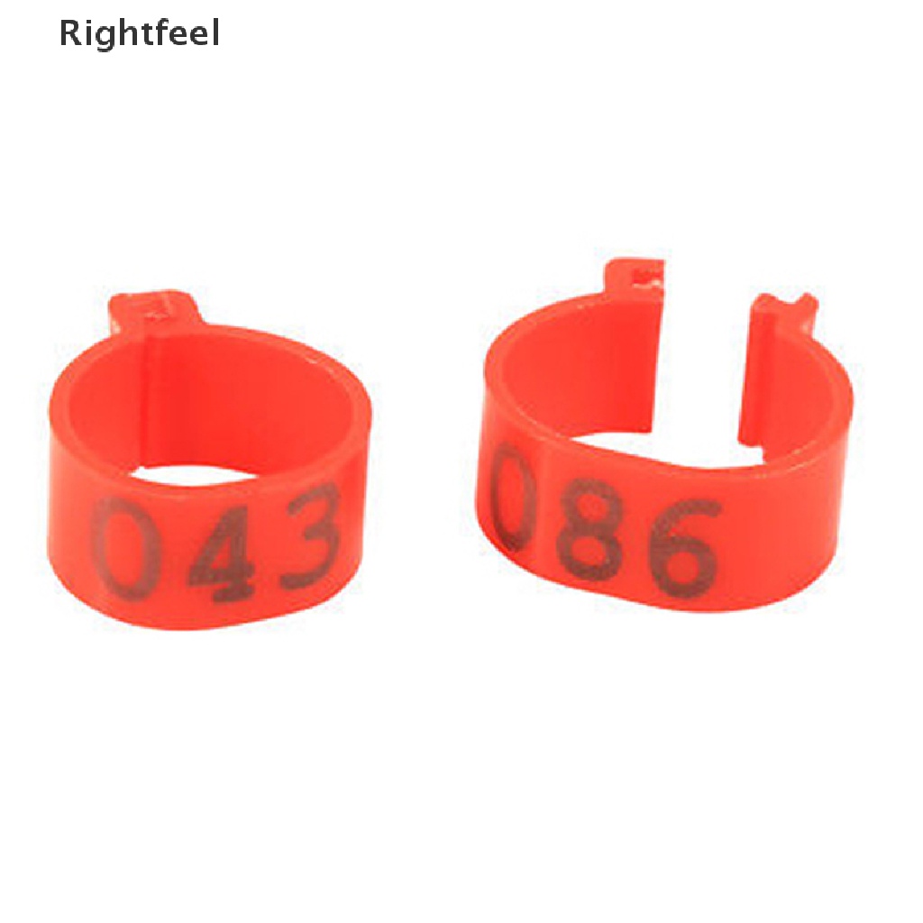 (MớI) Bộ 100 VòNg Đeo Chân Cho Gà / VịT Cỡ LớN 16mm