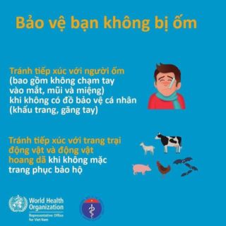 Xịt sát khuẩn ( nước rửa tay khô)