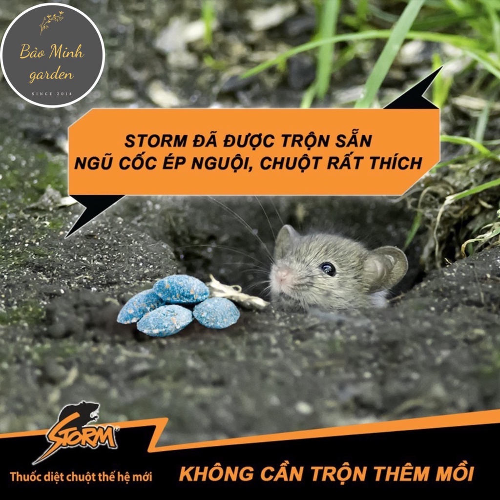 Thuốc Diệt Chuột STORM Đức Gói 20 viên