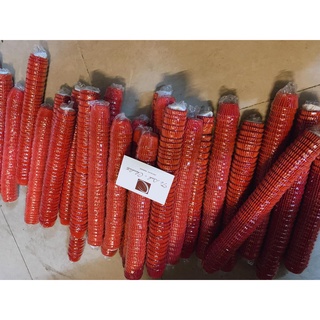 Giấy lót socola giá rẻ 1000c