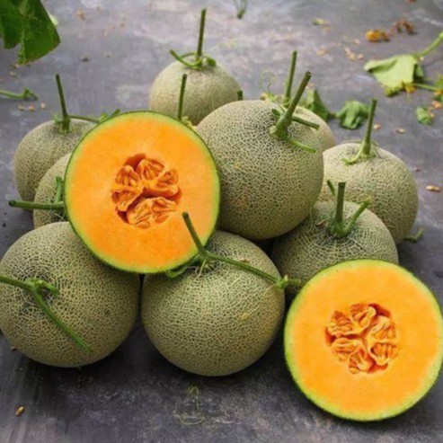 Hạt giống dưa lưới vỏ xanh 10 hạt tặng kèm 3 viên nén ươm hạt