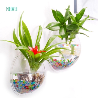 Bể Cá Treo Tường Trang Trí Bể Cá Cảnh