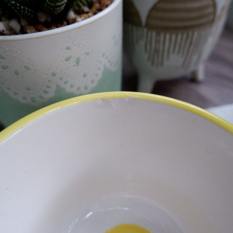 Combo 2 chén mister donut vẽ trái chanh