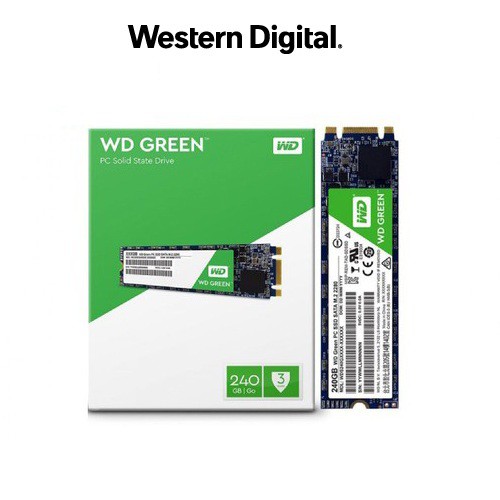 Ổ cứng SSD Western Digital Green M.2 2280 Sata III 240GB WDS240G2G0B