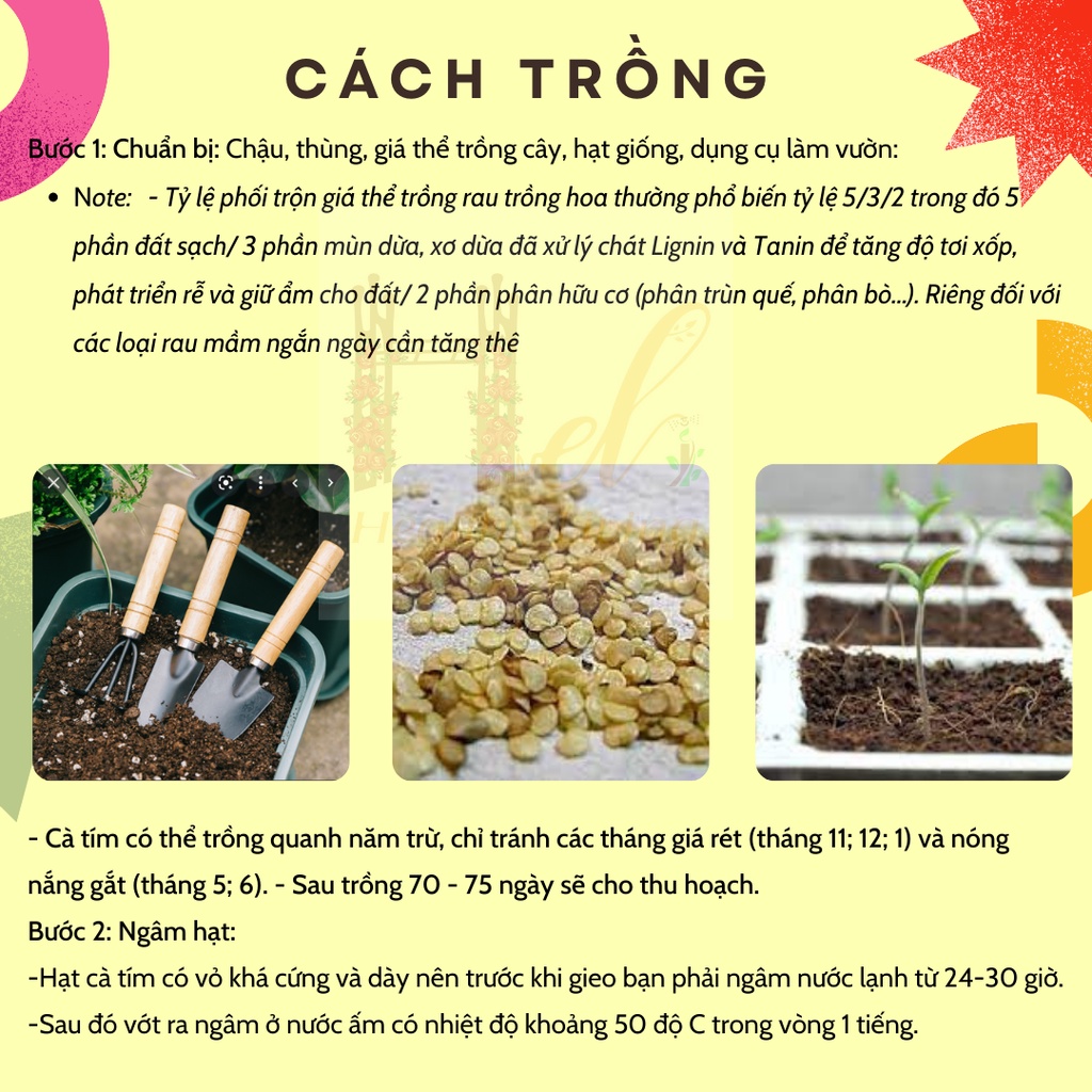 Hạt Giống Cà Tím Dài Cao Sản Siêu Trái - Trồng Hạt Giống Rau Củ Quả Bằng Đất Sạch, Xơ Dừa, Mùn Dừa Và Phân Bón Hữu Cơ