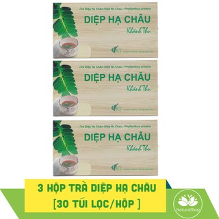 Bộ 3 hộp trà diệp hạ châu Khánh Thu 30 túi lọc/hộp