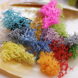 Phụ Kiện Trang Trí Móng Bằng Hoa San Hô
