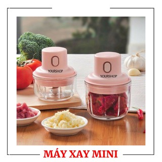 Máy Xay Mini Đa Năng 250ml Xay Tỏi Ớt, Hành, Rau Củ Quả - Yourshop
