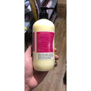 Dầu gội gừng Ginger Shampoo 500ml