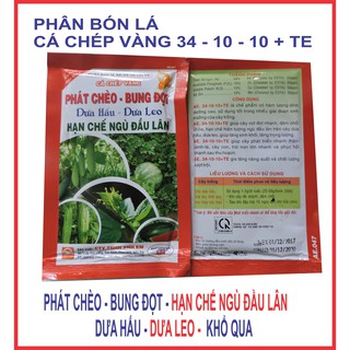 Phân bón lá cho Dưa hấu, Dưa leo phát chèo, bung đọt Cá Chép vàng 34 - 10 - 10 +TE.