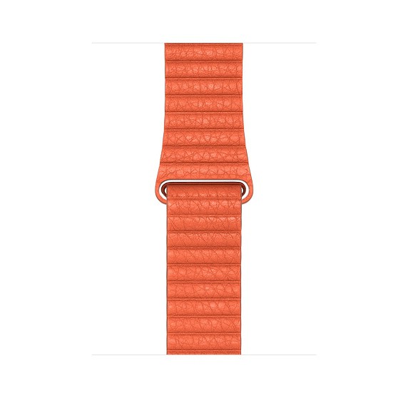 Sale 70% Dây đeo tay thay thế cho đồng hồ thông minh Apple Watch  , 5,for 38mm/40mm Giá gốc 323,000 đ -59B82