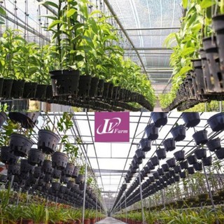 Chậu trồng lan đen F12