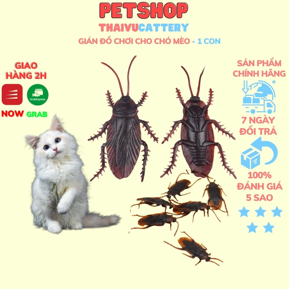 Gián đồ chơi cho chó mèo - 1 con