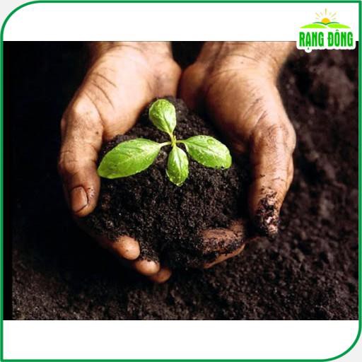 Đất Trồng Cây - Đất Trồng Rau LAVAMIX  trộn sẵn dinh dưỡng - Hạt giống Rạng Đông