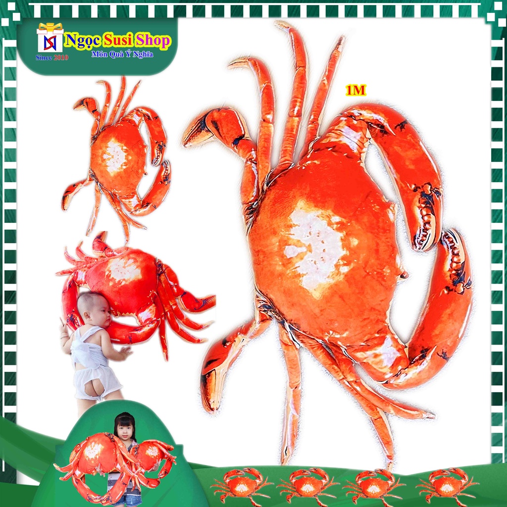 GỐI ÔM GHẸ BÔNG ,CON CUA ĐỎ ,TÔM HÙM ALASKA NHỒI BÔNG ĐẸP NHƯ ẢNH SIÊU CUTE