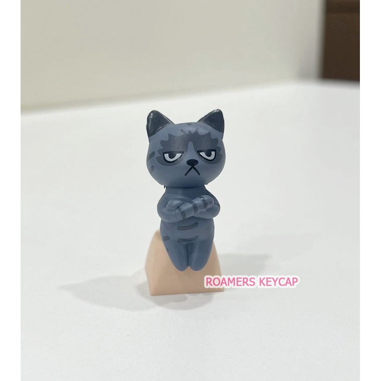 Keycap Mèo Phím Lẻ Rời Mèo Hộp