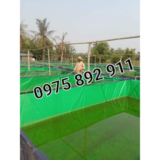 Bể bạt nuôi ốc ếch cá xanh bộ đội 6x3x1