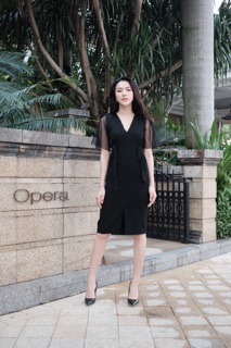 Váy rập thiết kế